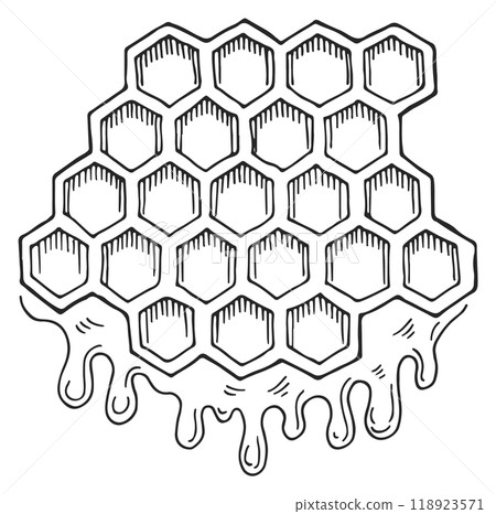 Honey dripping from honeycomb. Hand drawn sweet logo Honey dripping from honeycomb. Hand drawn sweet logo 118923571