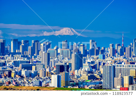 Mount Fuji and the skyscrapers of Tokyo 118923577