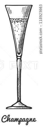 Champagne glass engraving. Sparkling wine drink sketch Champagne glass engraving. Sparkling wine drink sketch 118923663