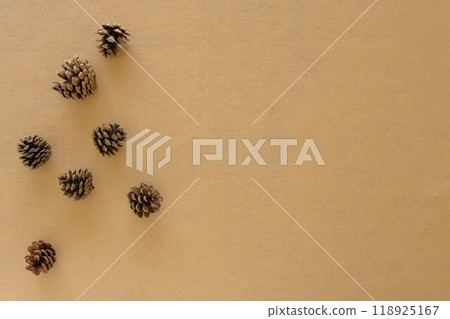 [Background material] Pine cones on a beige background 118925167