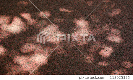 Sun leaked trees 118925355