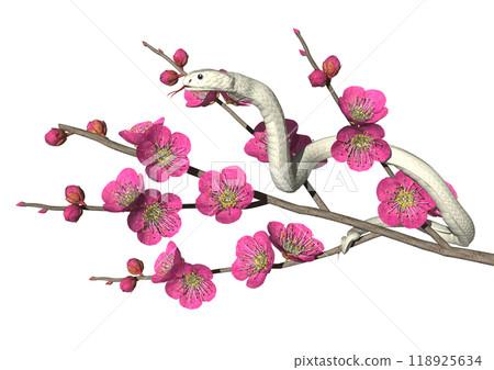 蛇年白蛇紅梅3DCG插畫素材 118925634