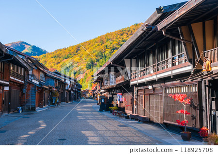 Nara Inui in autumn 118925708