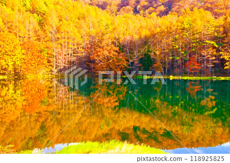 Beautiful autumn leaves at Mishaka Pond Beautiful autumn leaves at Mishaka Pond 118925825