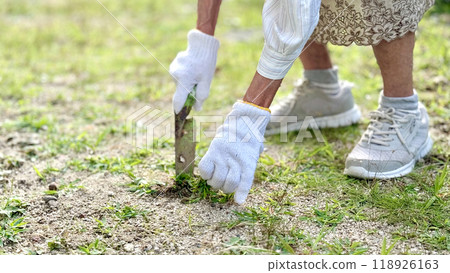 The hands of an elderly woman wearing gloves and pulling out weeds with a shovel The hands of an elderly woman wearing gloves and pulling out weeds with a shovel 118926163