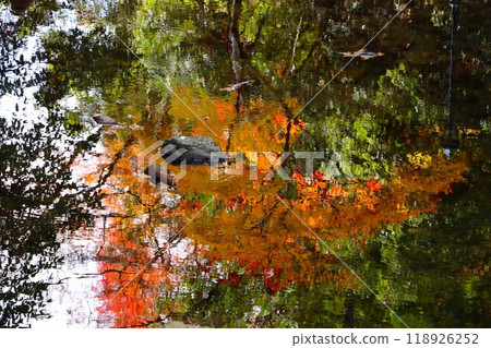 水鏡中倒映的剪影也有秋天的感覺 118926252