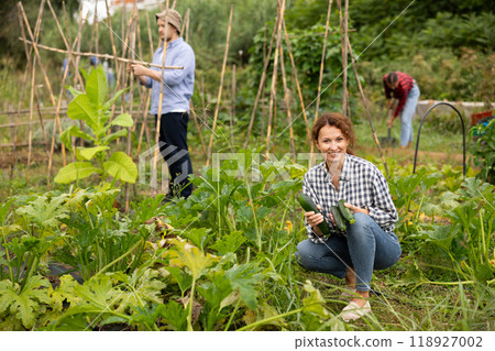 Portrait of happy woman with harvest of cucumbers in her hands in field Portrait of happy woman with harvest of cucumbers in her hands in field 118927002