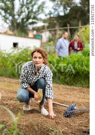 Woman is planting seeds in open ground 118927192