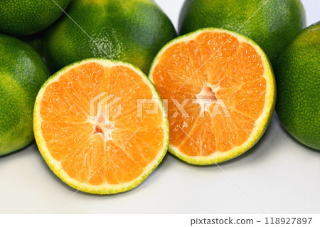 Mandarin orange (Hattori Wase) 118927897