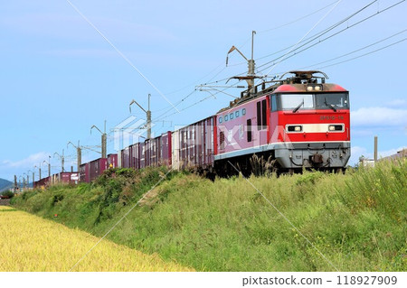 [JR貨運] EF510型～ECO-POWER Red Thunder～（奧羽本線：宇後飯塚～大久保） 118927909