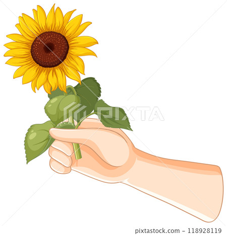Hand Holding a Bright Sunflower 118928119
