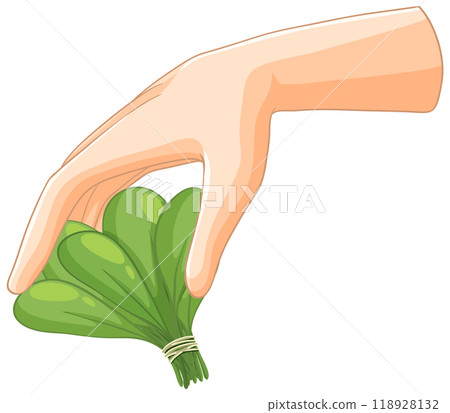 Hand Holding Fresh Green Vegetables 118928132