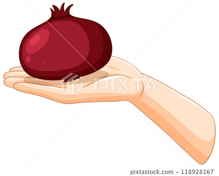 Hand Holding a Pomegranate Illustration Hand Holding a Pomegranate Illustration 118928167