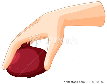 Hand Holding a Pomegranate Illustration Hand Holding a Pomegranate Illustration 118928182