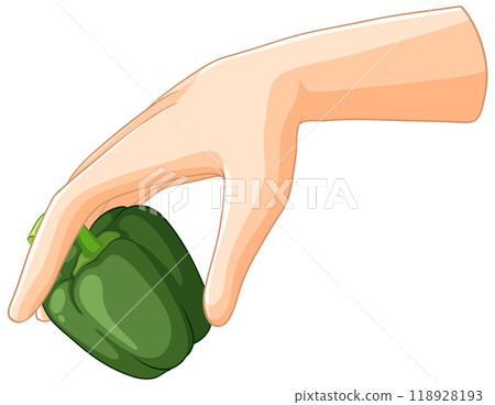 Hand Holding a Green Bell Pepper Hand Holding a Green Bell Pepper 118928193