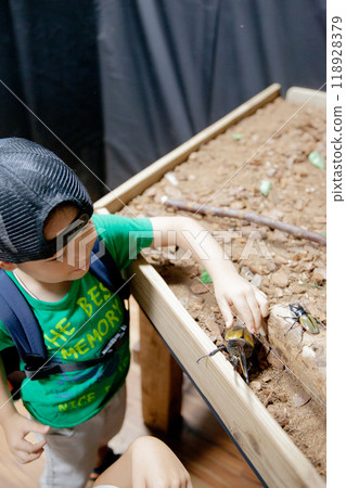 Boy holding a Hercules beetle at an insect exhibition 118928379