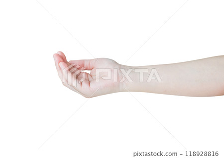 Woman hand gesture holding something isolated on white background Woman hand gesture holding something isolated on white background 118928816