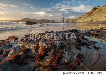 Golden Gate Bridge and Pacific Ocean 118928993