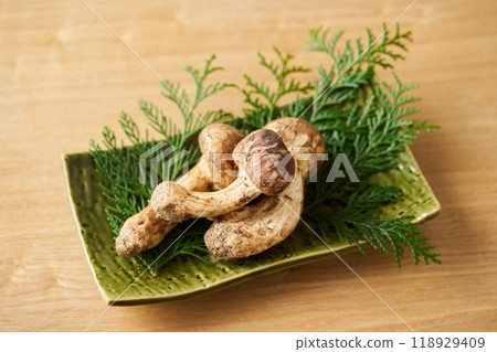 盤子裡的松茸蘑菇 盤子裡的松茸蘑菇 118929409