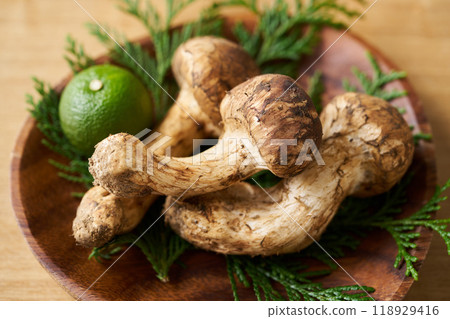 盤子裡的松茸蘑菇 盤子裡的松茸蘑菇 118929416