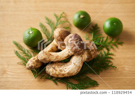 來自中國的松茸 118929454