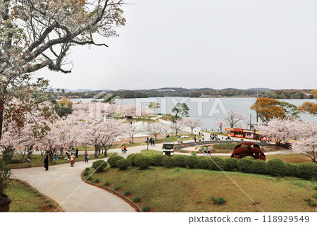 Spring at Tokiwa Park, a popular tourist spot in Ube City, Yamaguchi Prefecture 118929549