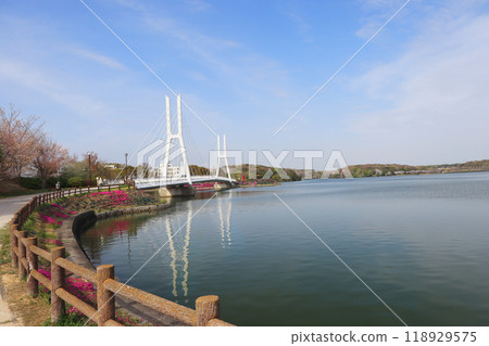 山口縣宇部市的熱門觀光景點 常盤公園 白鳥大橋 山口縣宇部市的熱門觀光景點 常盤公園 白鳥大橋 118929575