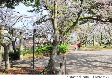 Tokiwa Shrine in Tokiwa Park, a popular sightseeing spot in Ube City, Yamaguchi Prefecture Tokiwa Shrine in Tokiwa Park, a popular sightseeing spot in Ube City, Yamaguchi Prefecture 118929577