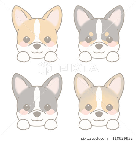 各種狗臉套裝柯基犬 118929932