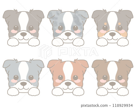 各種狗臉設置邊境牧羊犬 118929934