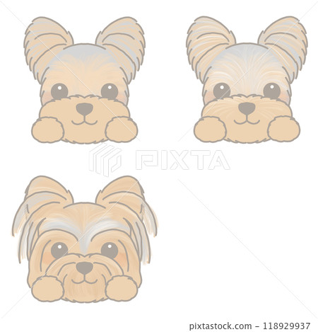 各種狗臉套裝約克夏犬 118929937