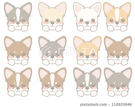 各種狗臉套裝吉娃娃 118929946