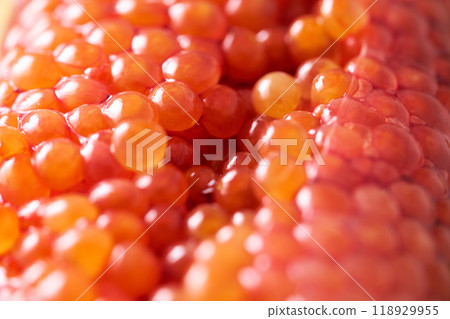 Close-up of salmon roe 118929955