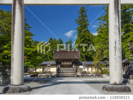 從太閣橋看到的多賀大社大鳥居(滋賀縣犬神郡多賀町) 從太閣橋看到的多賀大社大鳥居(滋賀縣犬神郡多賀町) 118930521