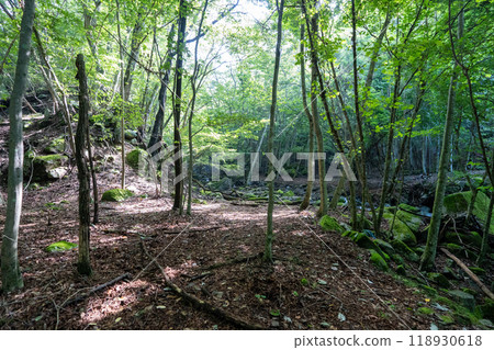 大菩薩峰（大菩薩峠登山口→石丸峠→上檜川峠） 118930618