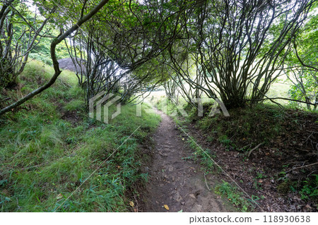 Daibosatsurei (Daibosatsu Pass Trailhead → Ishimaru Pass → Kamihikawa Pass) Daibosatsurei (Daibosatsu Pass Trailhead → Ishimaru Pass → Kamihikawa Pass) 118930638