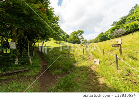 大菩薩峰（大菩薩峠登山口→石丸峠→上檜川峠） 118930654