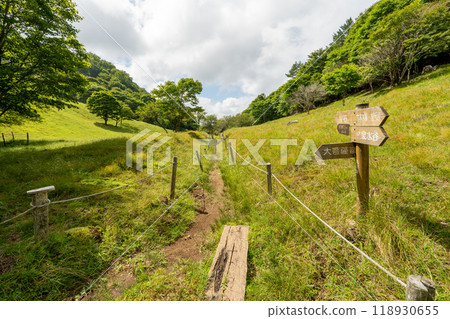 大菩薩峰（大菩薩峠登山口→石丸峠→上檜川峠） 118930655