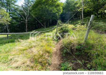 Daibosatsurei (Daibosatsu Pass Trailhead → Ishimaru Pass → Kamihikawa Pass) 118930661
