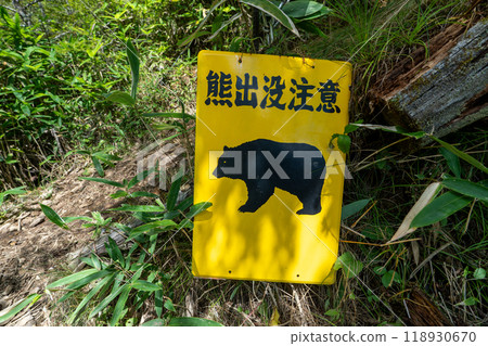 大菩薩峰(大菩薩峠登山口→石丸峠→上檜川峠) 大菩薩峰(大菩薩峠登山口→石丸峠→上檜川峠) 118930670
