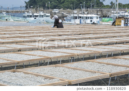 Dried whitebait, a specialty of Shinojima Dried whitebait, a specialty of Shinojima 118930820