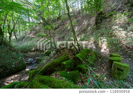 Daibosatsurei (Daibosatsu Pass Trailhead → Ishimaru Pass → Kamihikawa Pass) 118930958