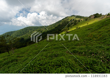 大菩薩峰(大菩薩峠登山口→石丸峠→上檜川峠) 大菩薩峰(大菩薩峠登山口→石丸峠→上檜川峠) 118931163