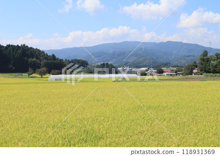 群馬縣高山村風景 118931369
