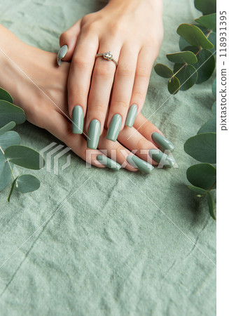 Elegant green manicure with long nails surrounded by eucalyptus leaves  118931395