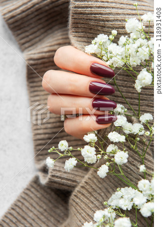 Elegant deep burgundy nails displayed alongside delicate white flowers on a cozy knit sweater  118931408
