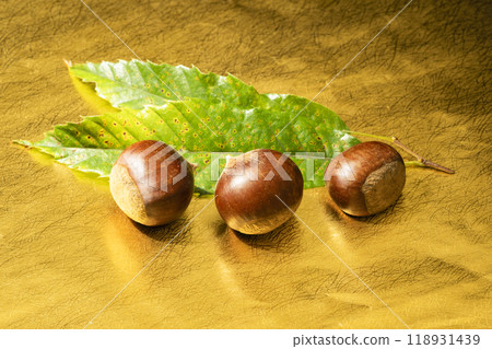 金箔上的栗子 118931439