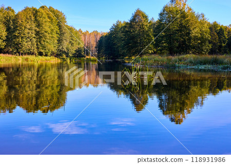 Tranquil River Reflections of Autumn Trees 118931986