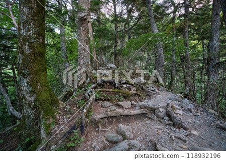 Climbing Kitadake (Hirokawara Mountain Lodge → Kitadake Mountain Lodge) 118932196