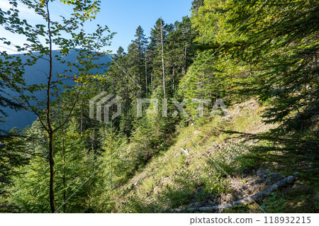 Climbing Kitadake (Hirokawara Mountain Lodge → Kitadake Mountain Lodge) 118932215